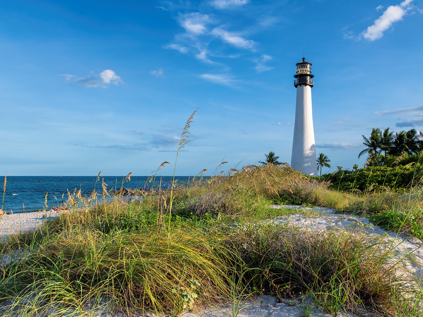 Dunes on Key Biscayne